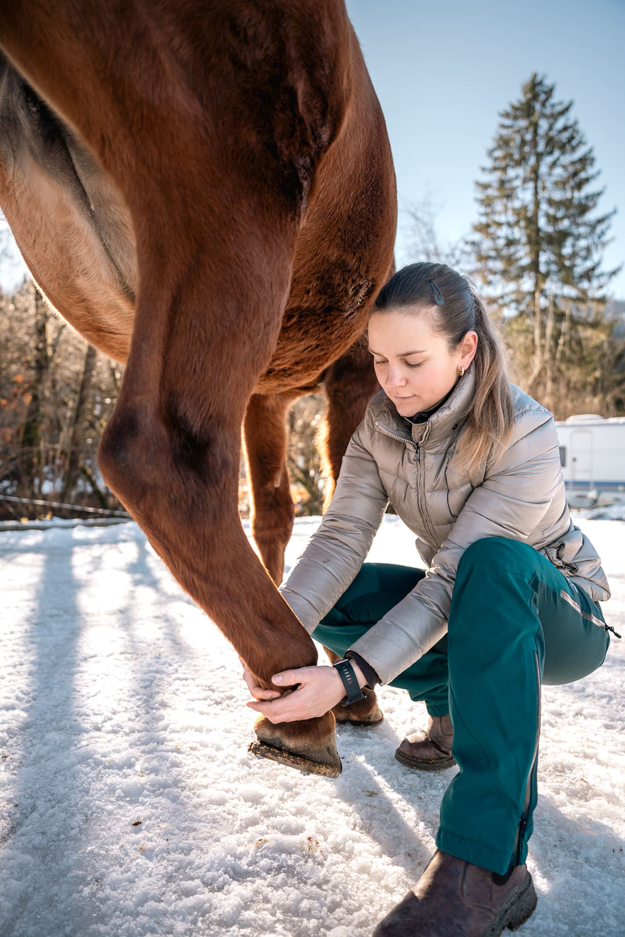 business-fotografie-wien-HorseRelax-daniel-fabbro-28